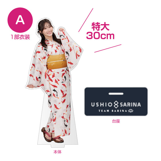 Salimaka Extra Large Acrylic Stand A